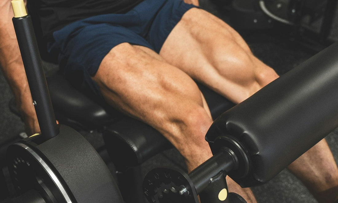 Muscle Health and UPFs